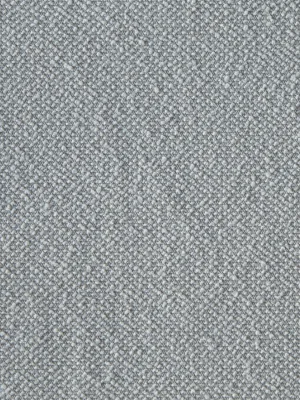 Beluga
