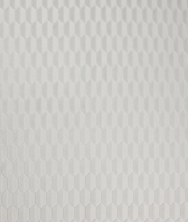 Invictus 01