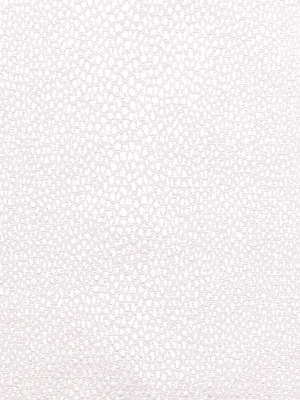 Erba
