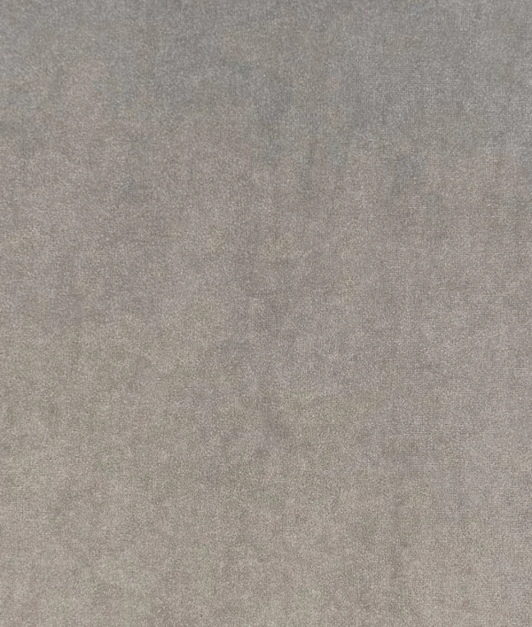 Cessaro 1003