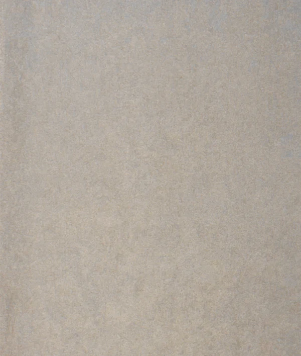 Cessaro 1005
