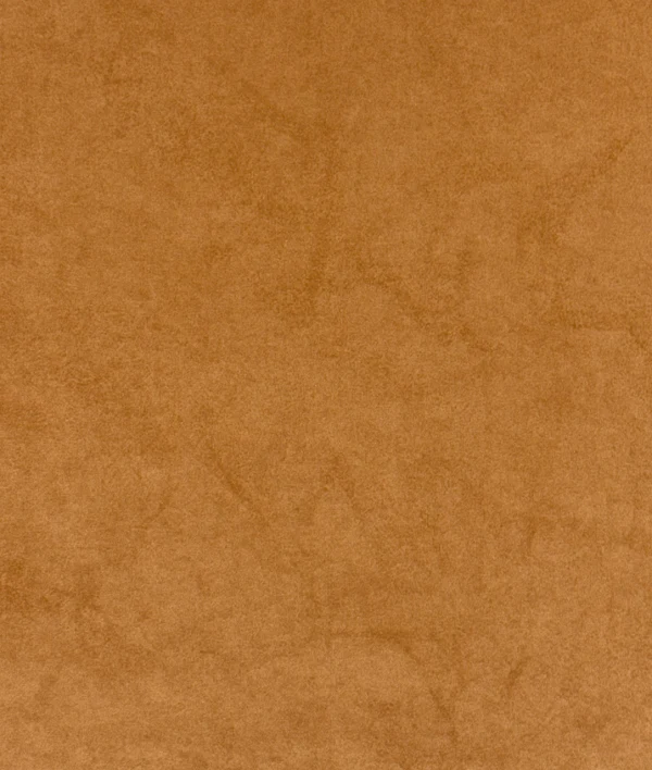 Cessaro 1008