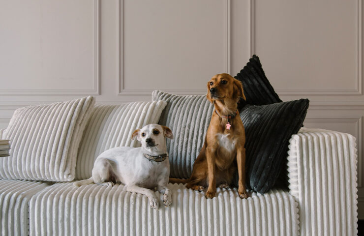 Moss Collection - Palazzo Fabric